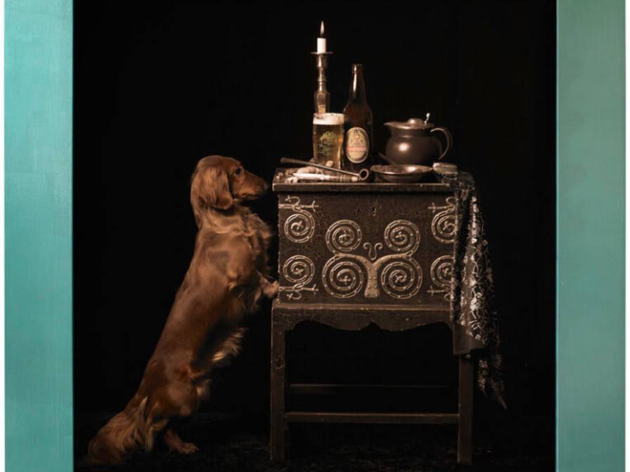 c7672703-c8d7-4e06-bdec-e0b0be47247c